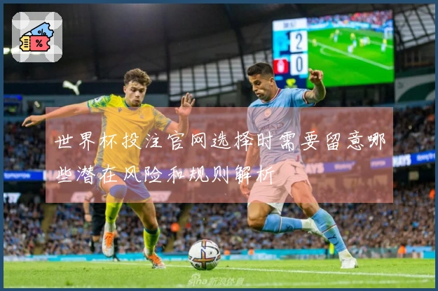 世界杯投注官网选择时需要留意哪些潜在风险和规则解析