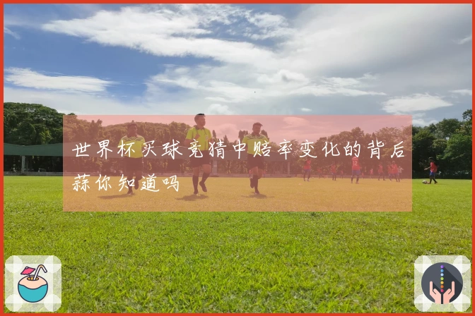 世界杯买球竞猜中赔率变化的背后蒜你知道吗