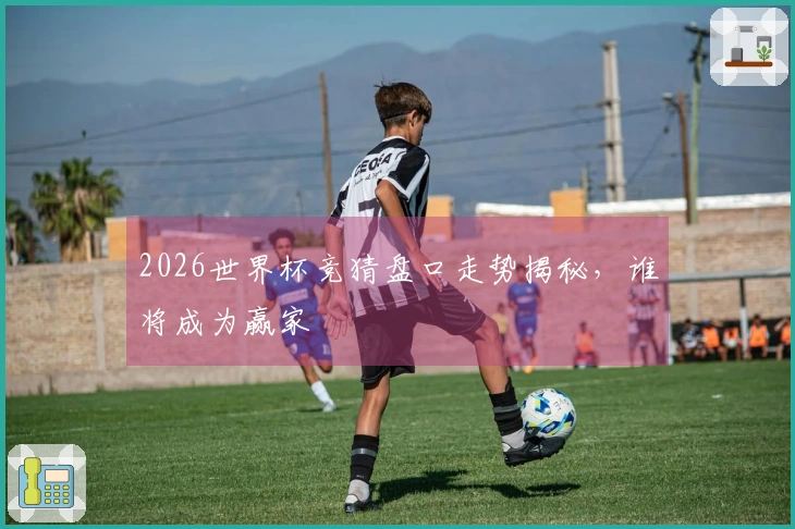 2026世界杯竞猜盘口走势揭秘，谁将成为赢家