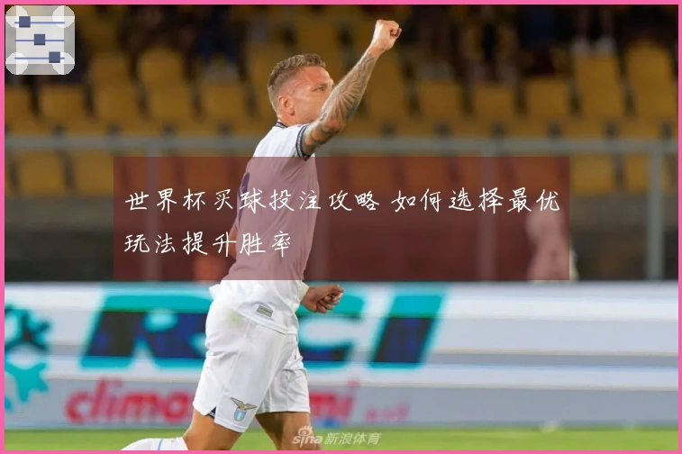世界杯买球投注攻略 如何选择最优玩法提升胜率