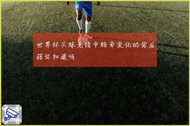 世界杯买球竞猜中赔率变化的背后蒜你知道吗