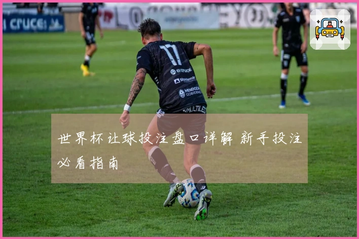 世界杯让球投注盘口详解 新手投注必看指南