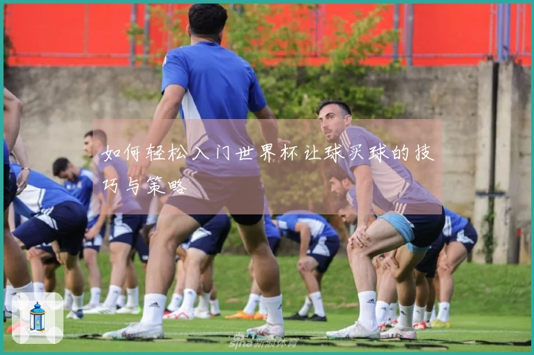 如何轻松入门世界杯让球买球的技巧与策略