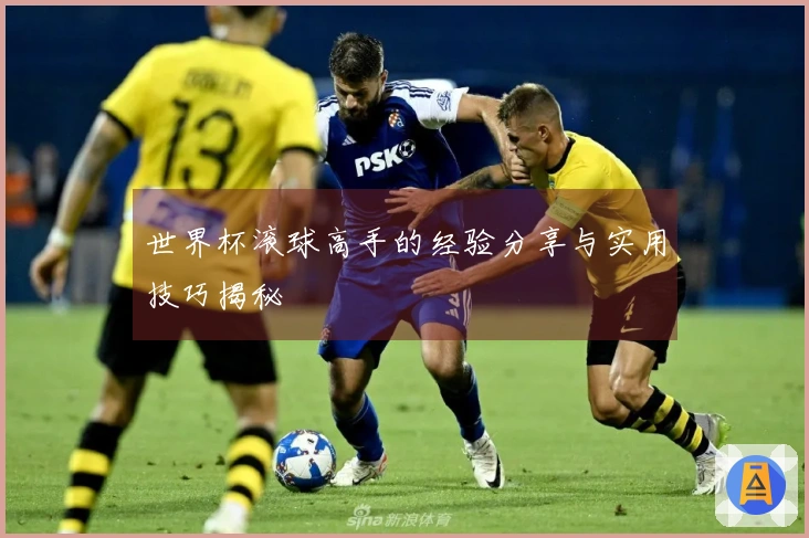 世界杯滚球高手的经验分享与实用技巧揭秘