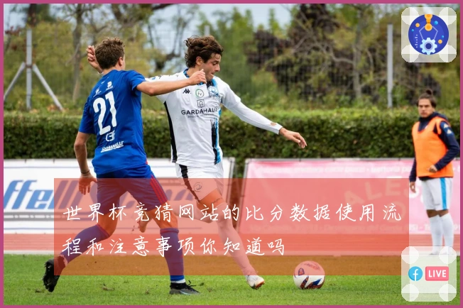 世界杯竞猜网站的比分数据使用流程和注意事项你知道吗