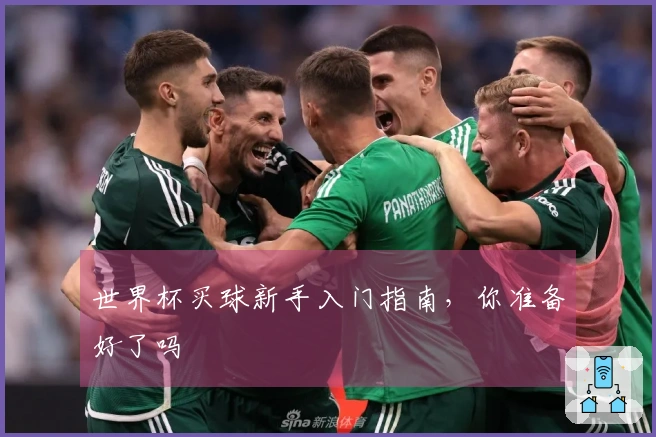 世界杯买球新手入门指南，你准备好了吗